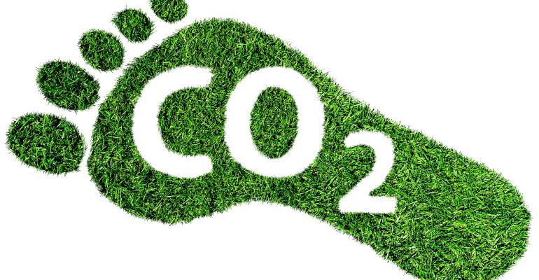 barefoot footprint made of lush green grass with text CO2